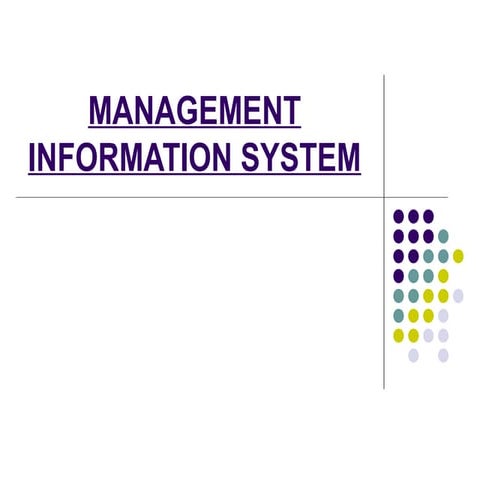 Management information system