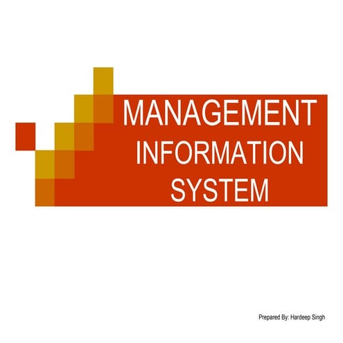 Management information system | PDF
