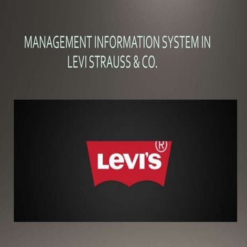 Management information system of a company