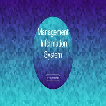 Management Information System.pptx