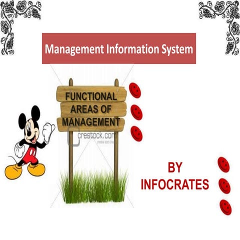 Management information systems - Functional Areas of Management