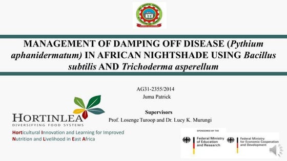 Management of coffee rust assignment | PPT