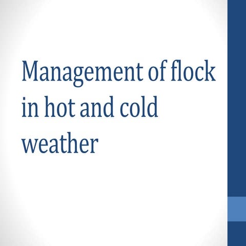 Management of flock in hot and cold weather