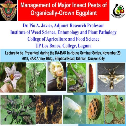 Management of major insect pests of organically grown egglant
