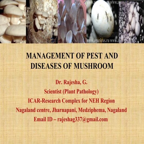 Management of pest and diseases of mushroom