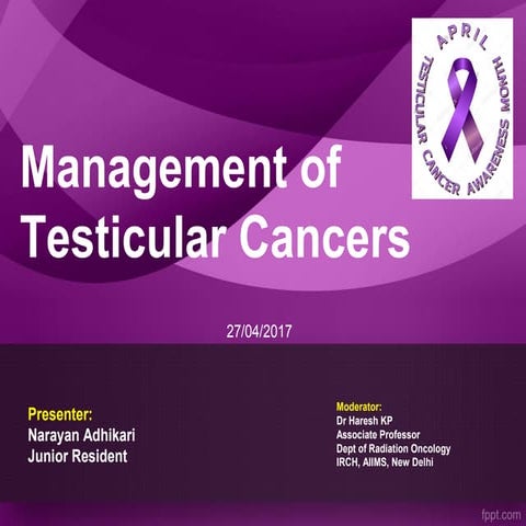Management of testicular cancers