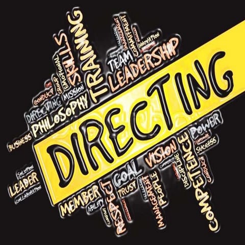 DIRECTING FROM MANAGEMENT