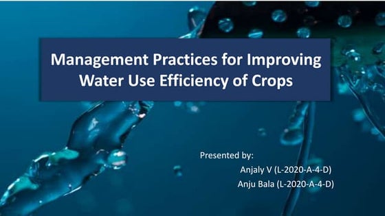 Stunning Water Efficient Practices For Employees image