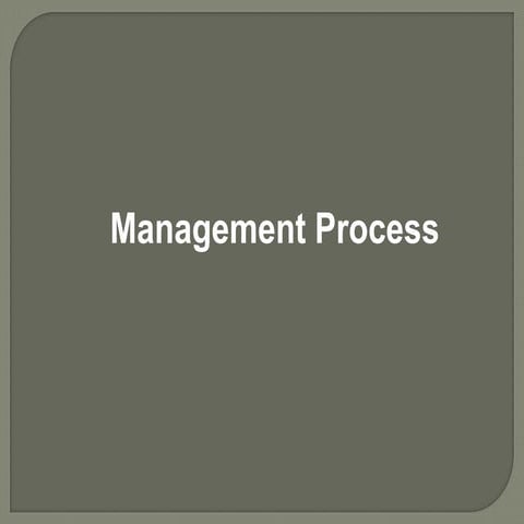 Management process