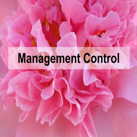 management control