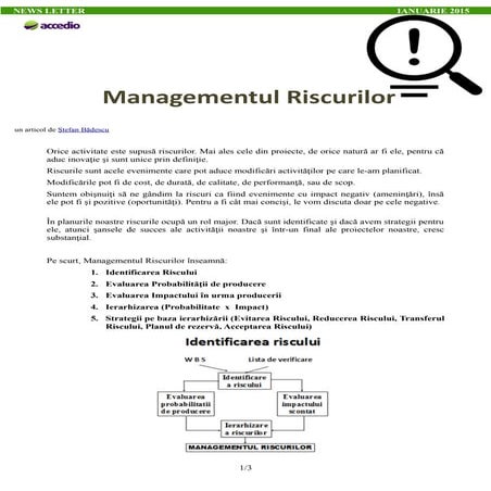 33 managementul riscului | PDF