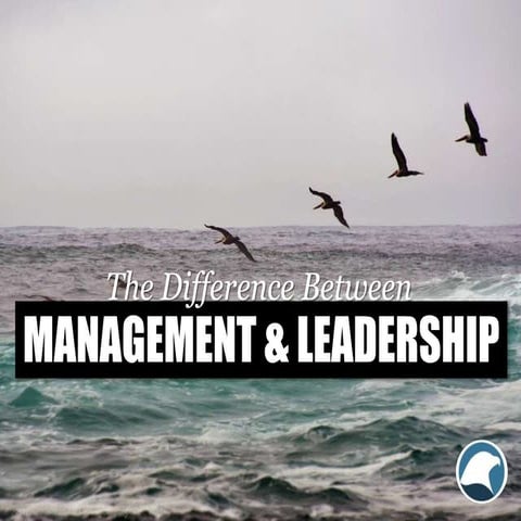 The Difference Between Management and Leadership