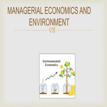 Management information system on Apple company | PPTX