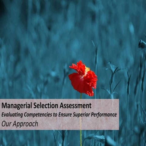 Managerial Selection Assessment