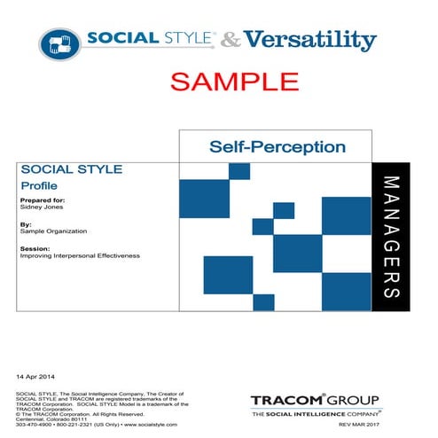 Behavioral Style Report | PDF