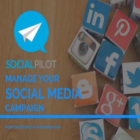 Manage Social Media Campaign with SocialPilot