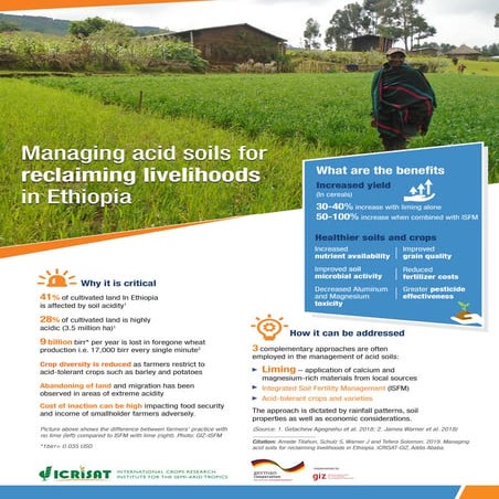 Managing acid soils for reclaiming livelihoods in Ethiopia