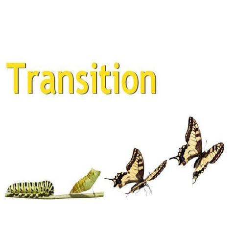 Portare le persone attraverso la Transizione