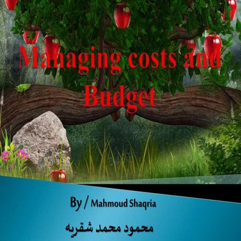 Managing costs and budget
