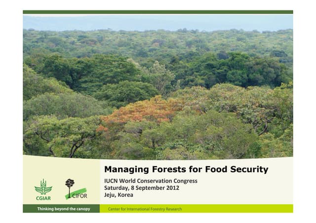 Managing forests for food security