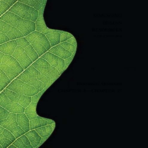 Managing human resources By Luis R. Gomez Mejia