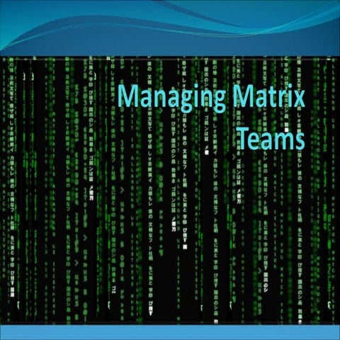 Managing Matrix Organization