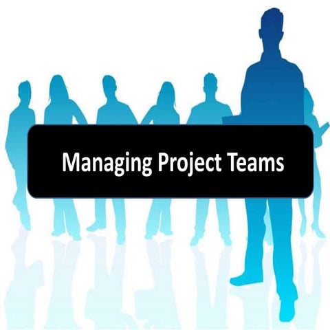 Managing project teams
