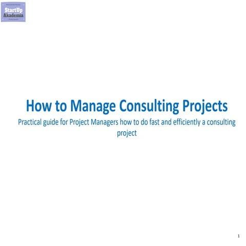 How to manage successfully a Consulting Project