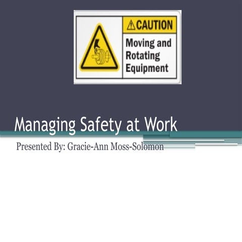 Managing Safety at Work in the Organization