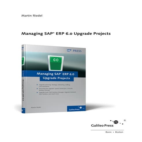 Managing sap upgrade_projects