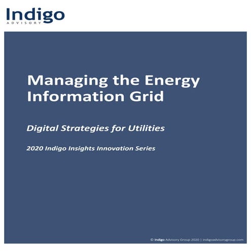 Managing the Energy Information Grid - Digital Strategies for Utilities
