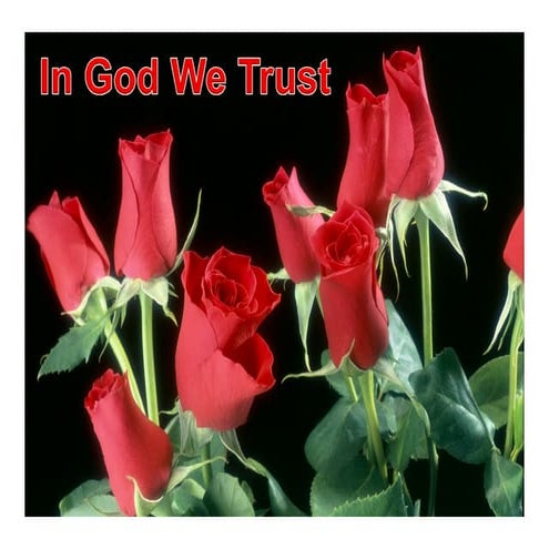 Managment  HRM  Moghimi