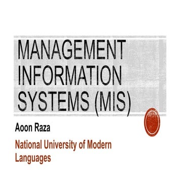 Managment information system