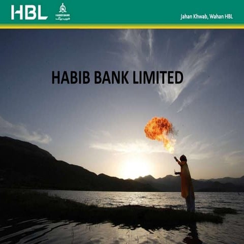 Habib Bank Limited Project (m.nauman sher 42)