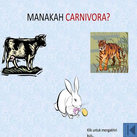 Manakah carnivora hiperlink | PPSX