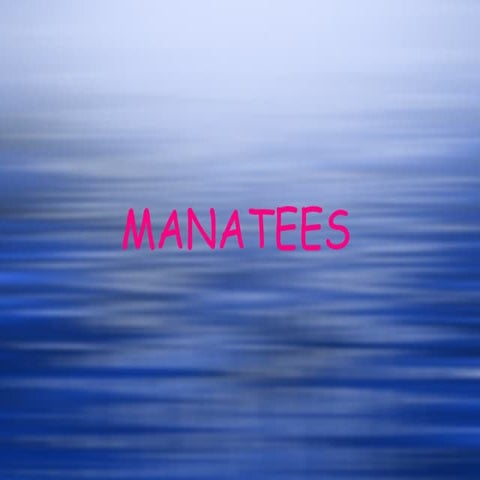 Manatees | PPT