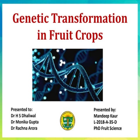 Genetic Transformation in Fruit Crops