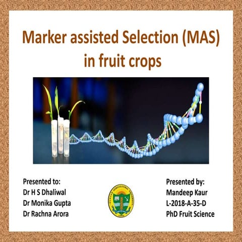 Marker-assisted Selection (MAS) in fruit crops