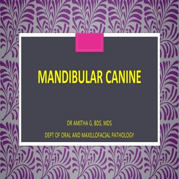 Mandibular Canine