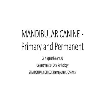 Mandibular canine