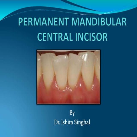 Mandibular central incisor