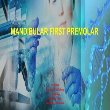 Mandibular I premolar