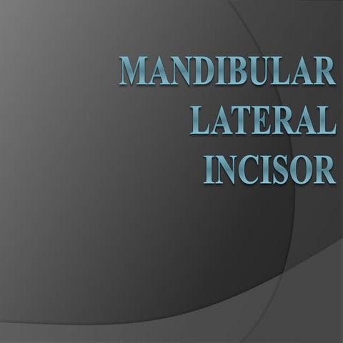 MANDIBULAR  LATERAL  INCISOR.pptx