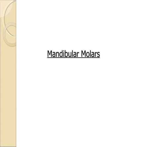 Mandibular Molars