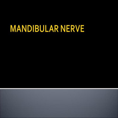 Mandibular nerve dental surgery