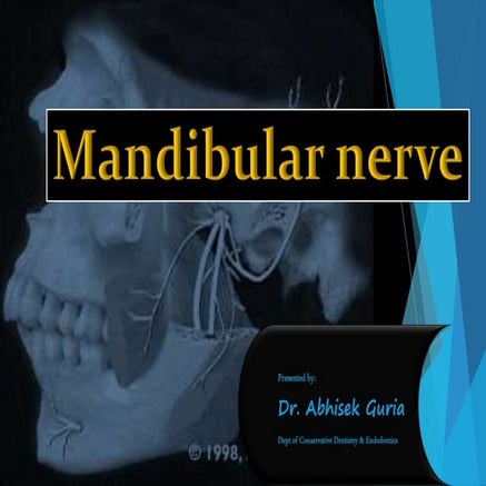 Mandibular nerve