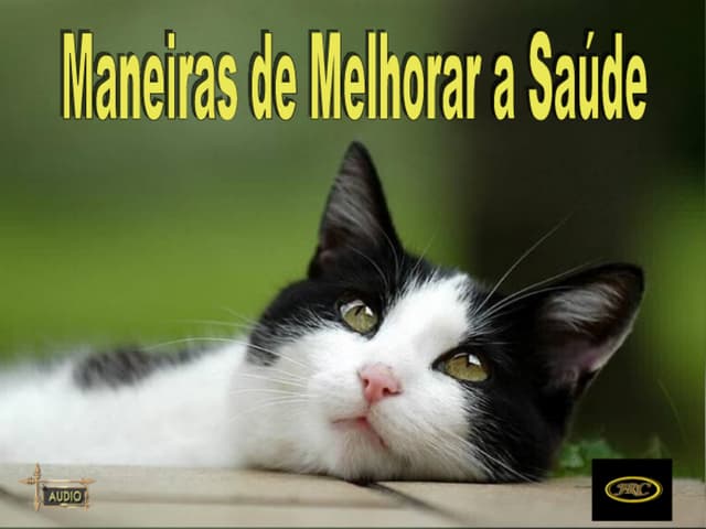 MANEIRAS DE MELHORAR A SAÚDE