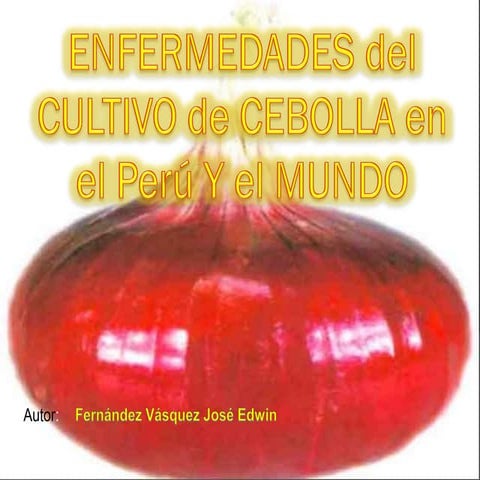 Manejo agronomico y enfermedades de la cebolla 2010