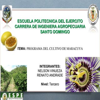 Manejo convencional vs organico mar...