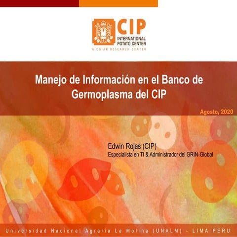 Manejo de Información en Banco del CIP